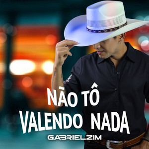 NÃO TÔ VALENDO NADA by Gabrielzim