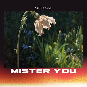Mister you by Mickymau