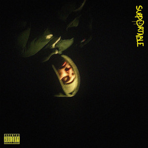 Portada de SUPPORTABLE