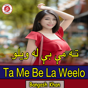 Bangash Khan - ته مې بې له ویلو