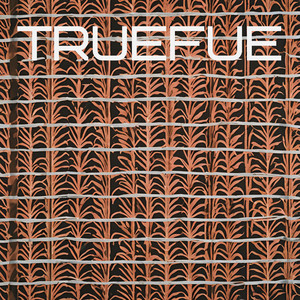 Truefue by Hanif Asanthi