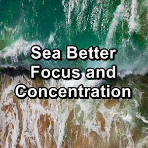 Sea Better Focus and Concentration album