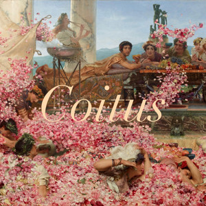 Coitus
