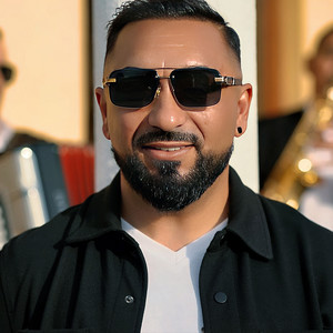 Nicusor Magnificul - Urmasul lui tata