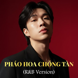 Pháo Hoa Chóng Tàn - R&B Version by NDMT