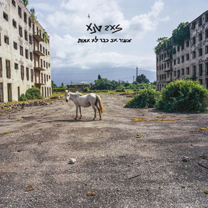 Haval by Zeev Tene