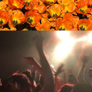 New Love - Sped Up by IP.Baby