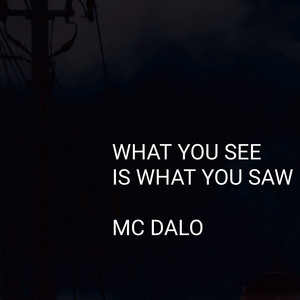 What You See Is What You Saw (Freestyle) by MC DALO