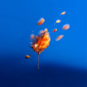 Statement Piece by mAdeGo