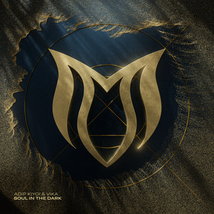 Soul In The Dark - Radio Edit by Adip Kiyoi, VIKA
