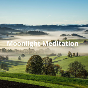 Moonlight Meditation by Prophet of the Melody