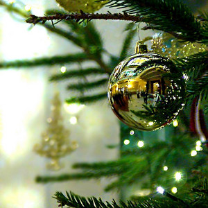 Ilze Kalve - We Wish You a Merry Christmas