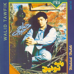 Walid Toufic - Wahdak Habibi