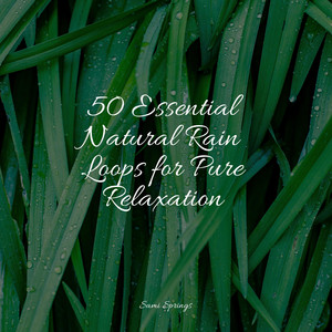 50 Sounds of Rain and Nature for Meditation album