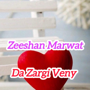 Zeeshan Marwat - Da Zargi Veny