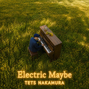 Electric Maybe by 中村テツヤ