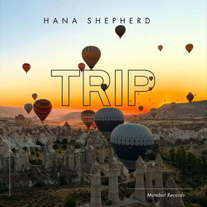 Soft Dreams by Hana Shepherd