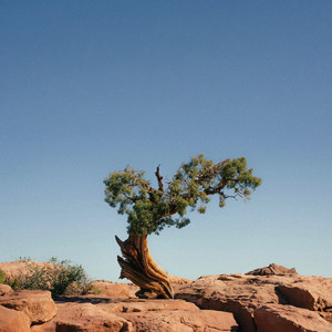 Juniper by Astral, nomar.wav