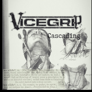 CASCADING by Vicegrip 617