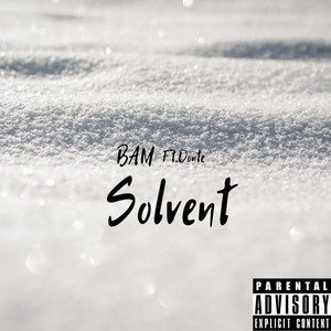 Portada de Solvent