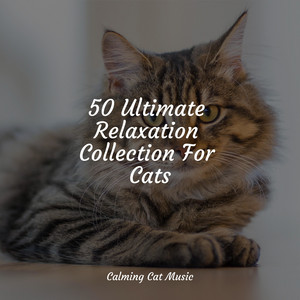 50 Ultimate Relaxation Collection For Cats album