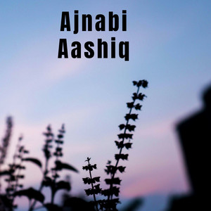 Farida Meer - Kaho Na Pyar