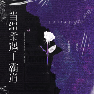杨天天 - 当温柔遇上霸道 (广场舞版)