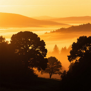 Golden Morning Light by ZAENAB NARQIS