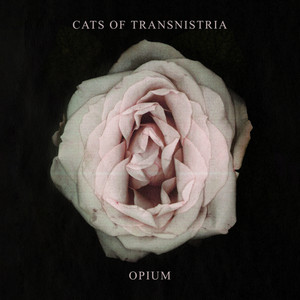 Trees by Cats Of Transnistria