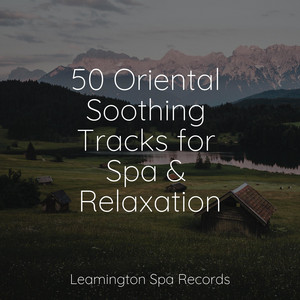 50 Oriental Soothing Tracks for Spa & Relaxation album