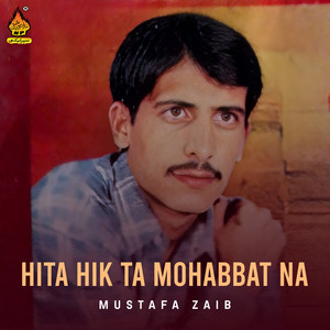 Mustafa Zaib - He Qarar Zindagi Na