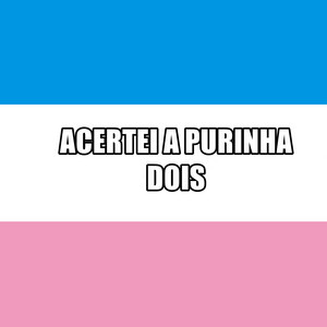 Mc Bocão - Acertei a Purinha Dois