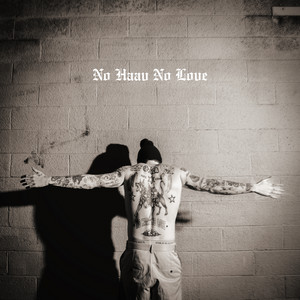 album cover: No Haav No Love