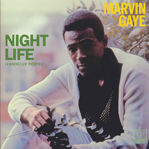 Night Life - Vandelux Remix by Marvin Gaye, Vandelux