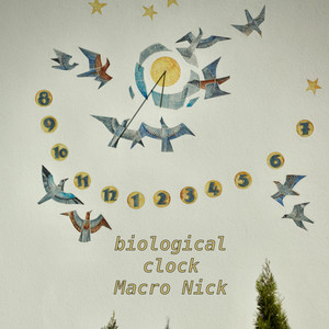 biological clock by Macro Nick