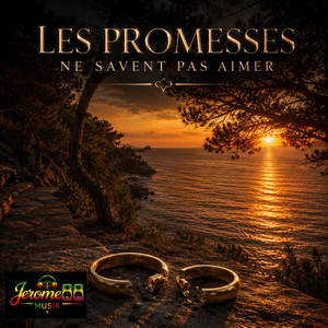 Les promesses ne savent pas aimer by Jerome88musik