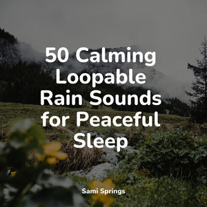 50 Calming Loopable Rain Sounds for Peaceful Sleep album