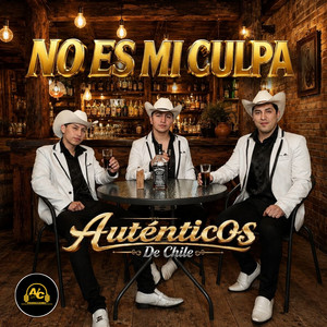 No Es Mi Culpa by Autenticos De Chile