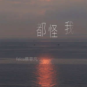 都怪我 by Felicia蔡菲凡