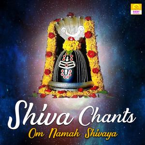 Shiva Chants Om Namah Shivaya by Priyank