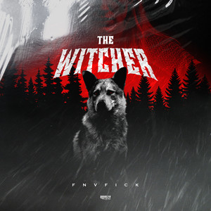 The Witcher by FNVFICK