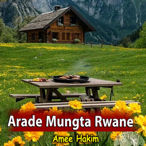 Amee Hakim - Arade Mungta Rwane