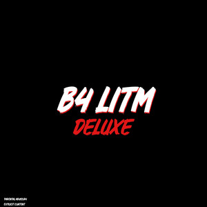 B4 LITM (Deluxe) cover