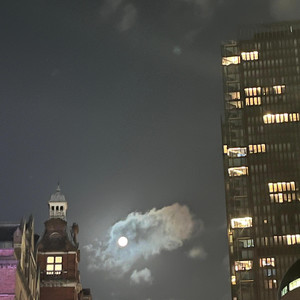 Moonlight