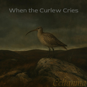 When the Curlew Cries by Celtannia