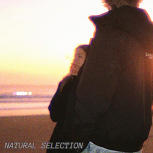 Natural Selection