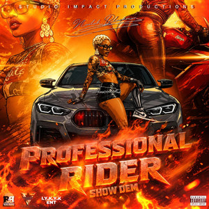 Professional Rider by Nailah Blackman