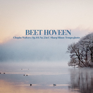 Waltzes, Op. 64: No. 2 in C-Sharp Minor. Tempo giusto by Beet Hoveen