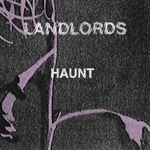 Haunt by Landlords