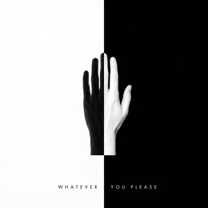 Whatever You Please by Dead Division